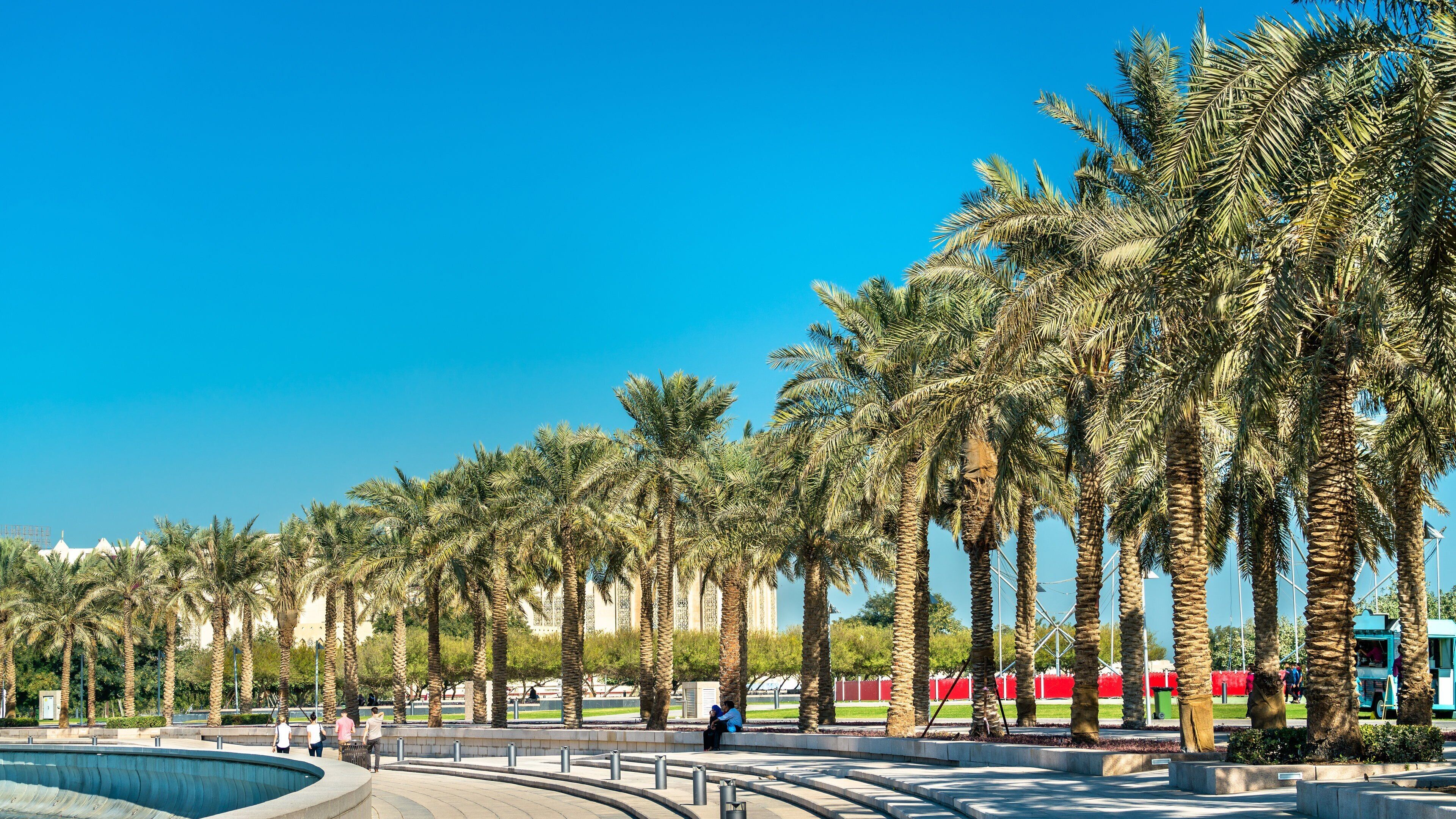 Palm tree and landscaping services in Dubai UAE
